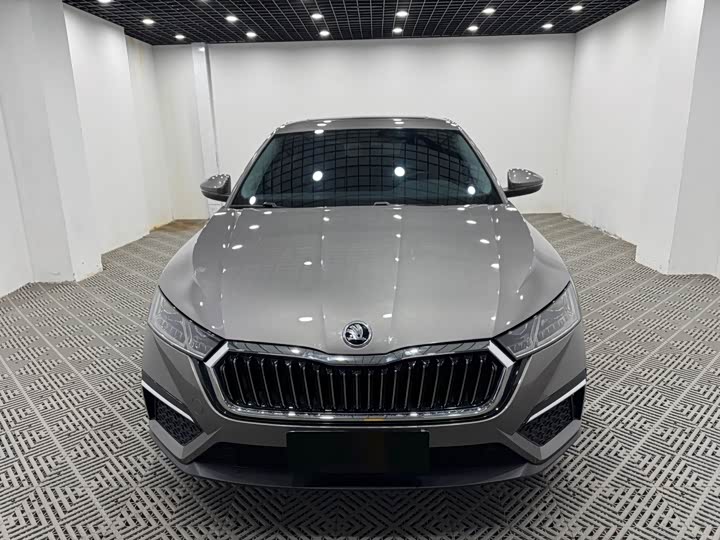 Фото 2 - Skoda Octavia Pro