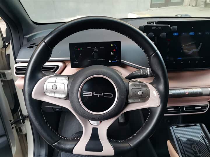 Фото 3 - BYD Seagull