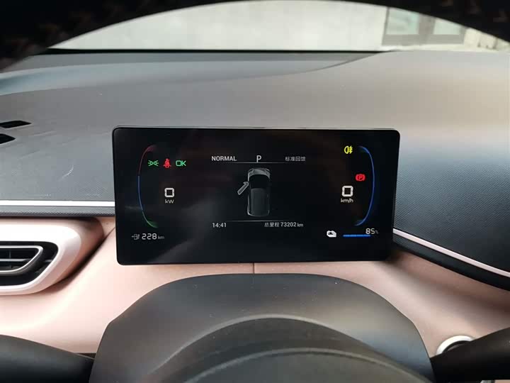 Фото 4 - BYD Seagull