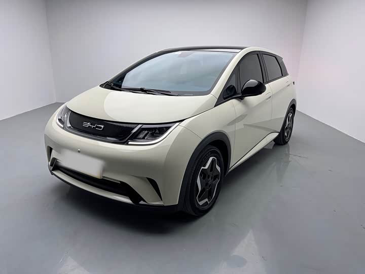 Фото 1 - BYD Dolphin