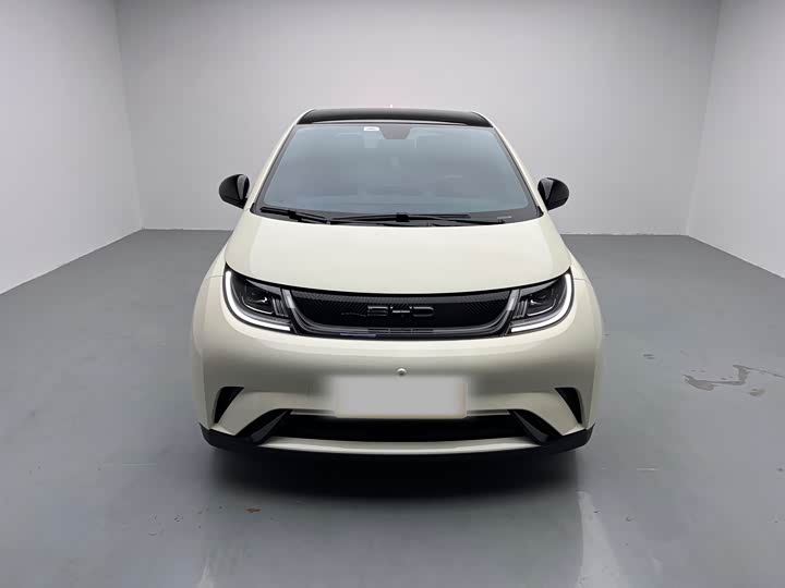 Фото 2 - BYD Dolphin