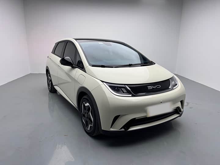 Фото 3 - BYD Dolphin