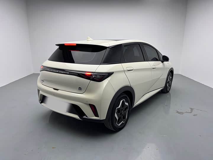 Фото 4 - BYD Dolphin