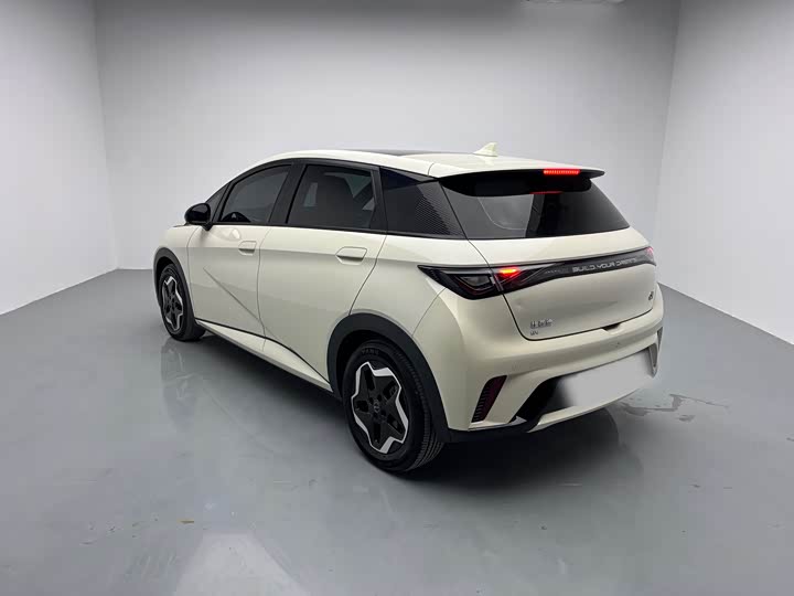 Фото 6 - BYD Dolphin