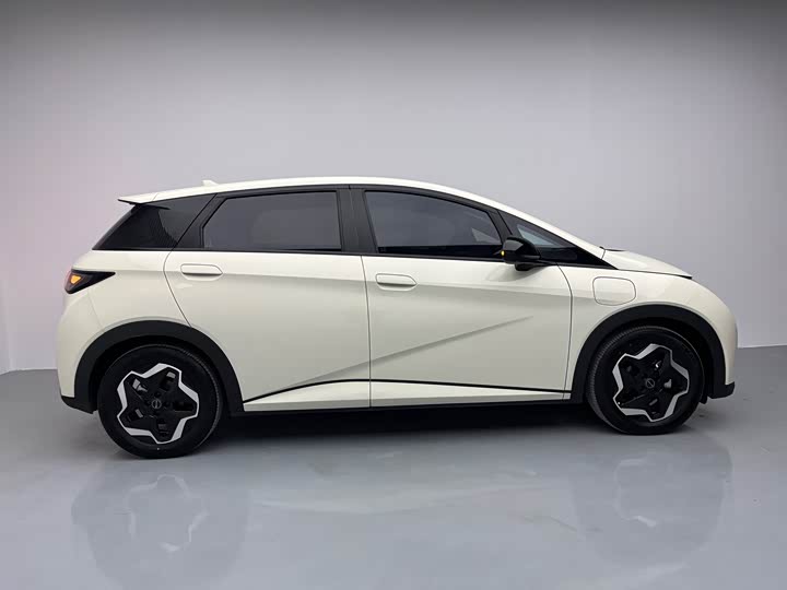 Фото 7 - BYD Dolphin