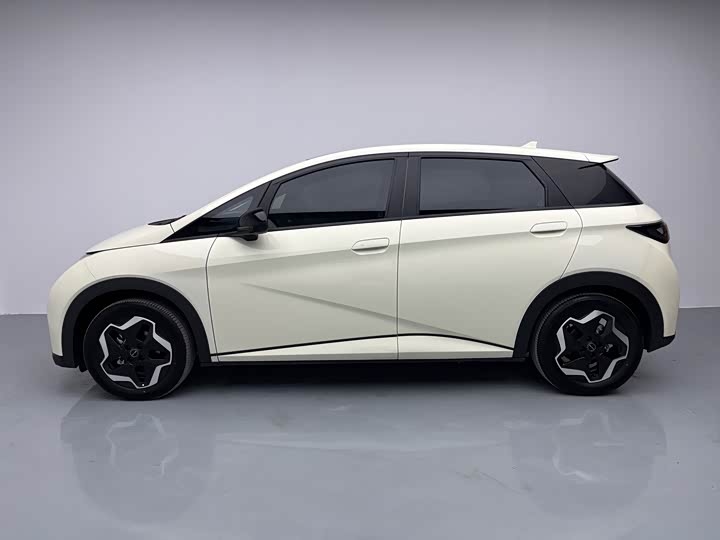 Фото 8 - BYD Dolphin