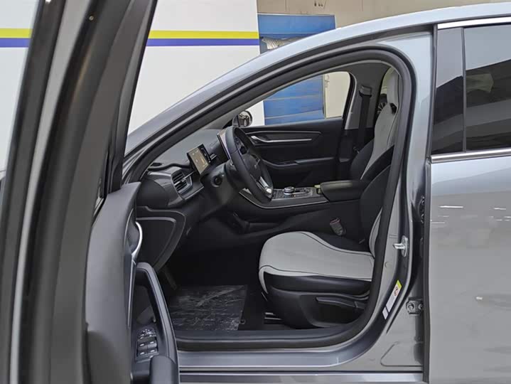 Фото 9 - BYD Destroyer 05