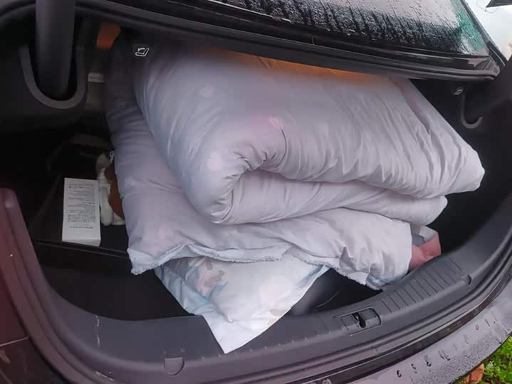 Фото 4 - Hongqi H5