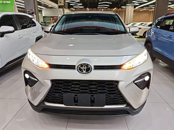 Фото 3 - Toyota Wildlander