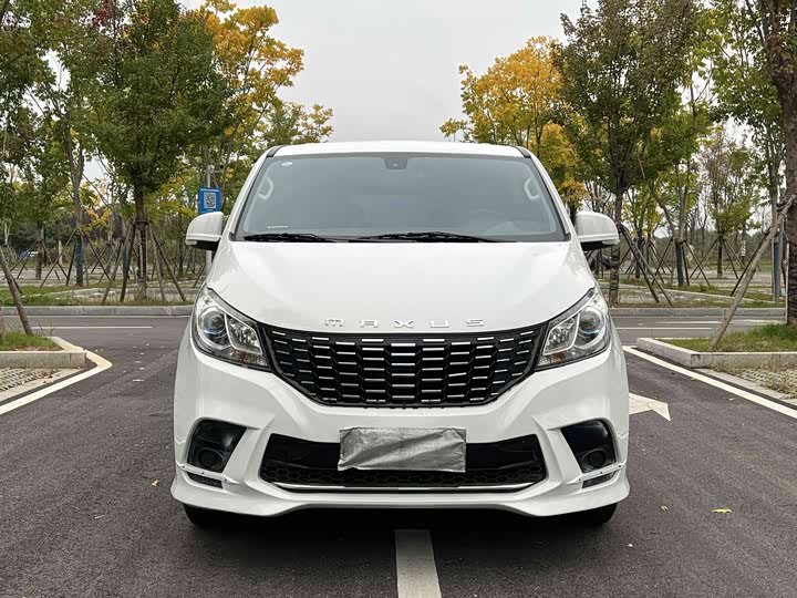 Фото 3 - Maxus G10