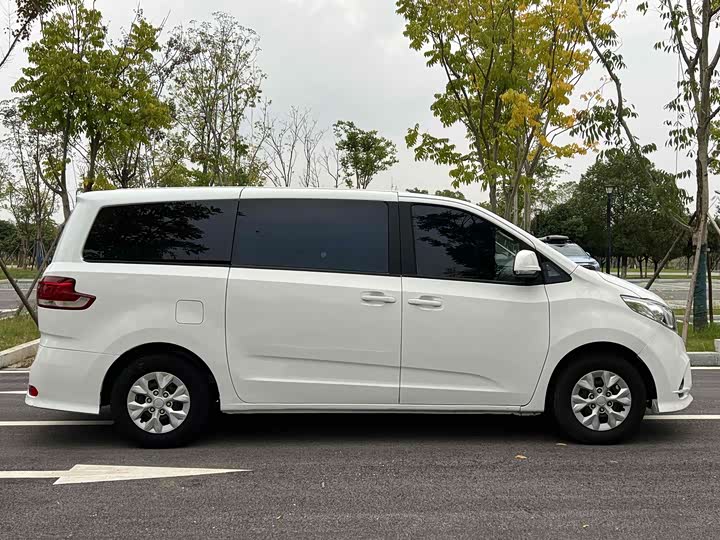 Фото 4 - Maxus G10