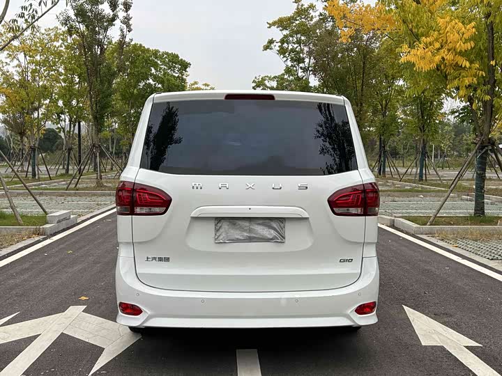 Фото 6 - Maxus G10