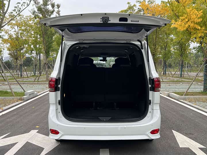 Фото 7 - Maxus G10