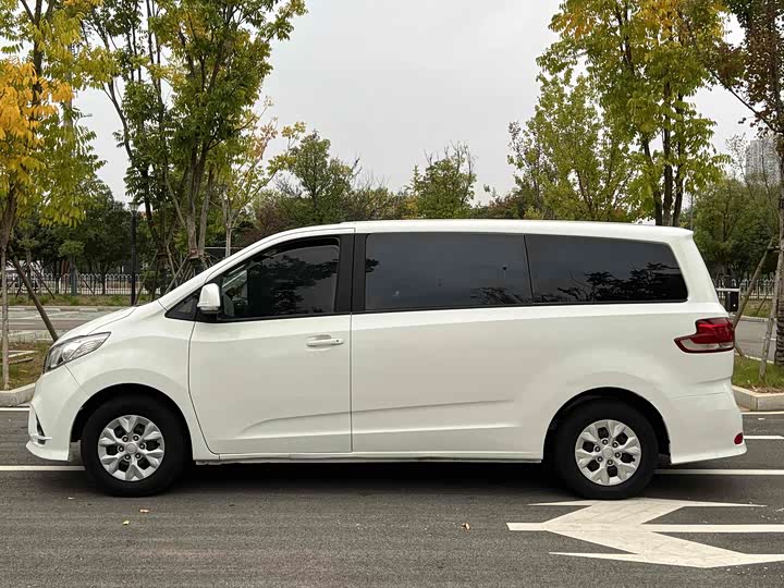 Фото 8 - Maxus G10