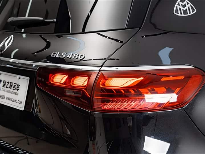 Фото 9 - Mercedes-Benz Maybach GLS