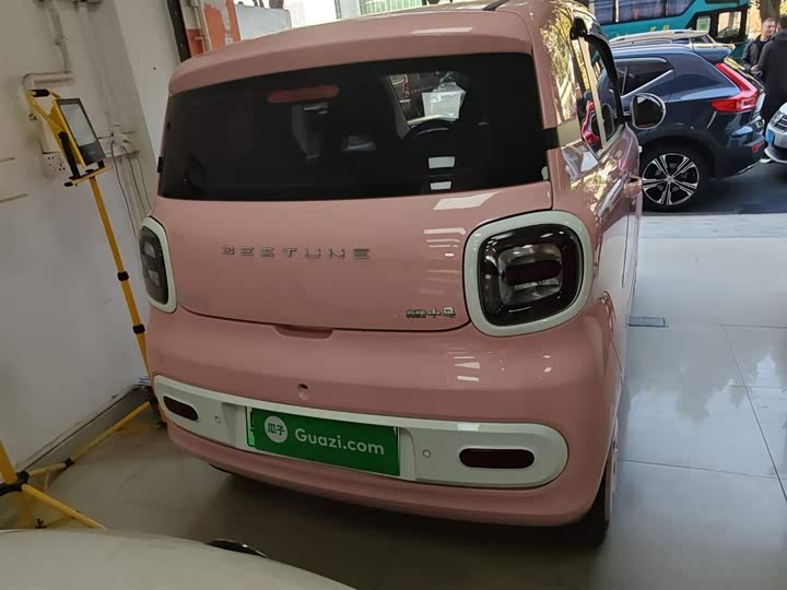 Фото 6 - Bestune Pony