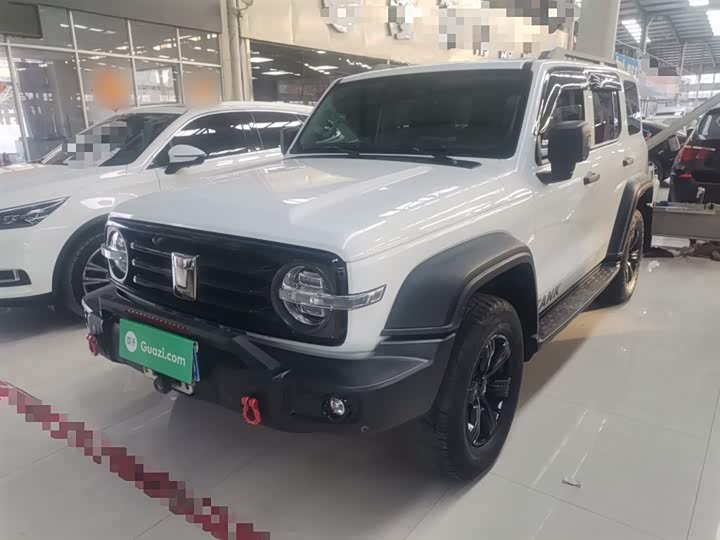 Фото 2 - Tank 300