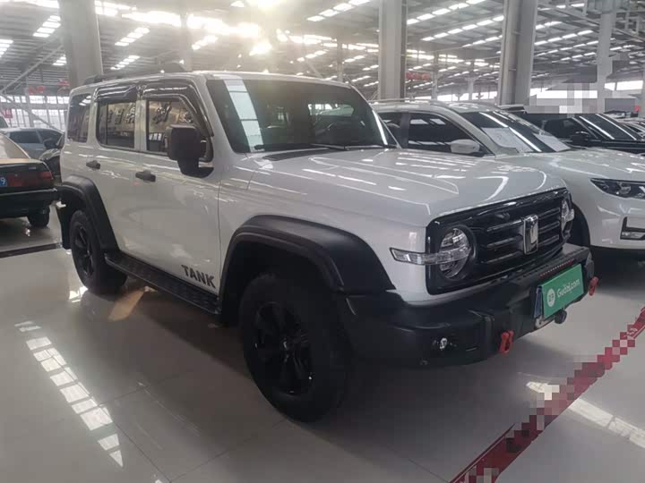 Фото 4 - Tank 300