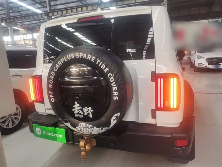 Фото 6 - Tank 300