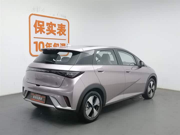 Фото 2 - BYD Dolphin