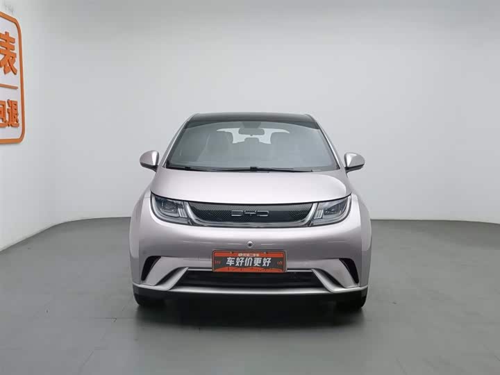 Фото 3 - BYD Dolphin