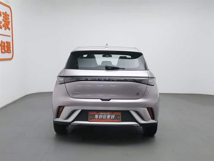 Фото 4 - BYD Dolphin