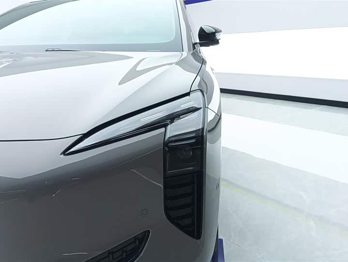 Фото 5 - Hongqi EH7