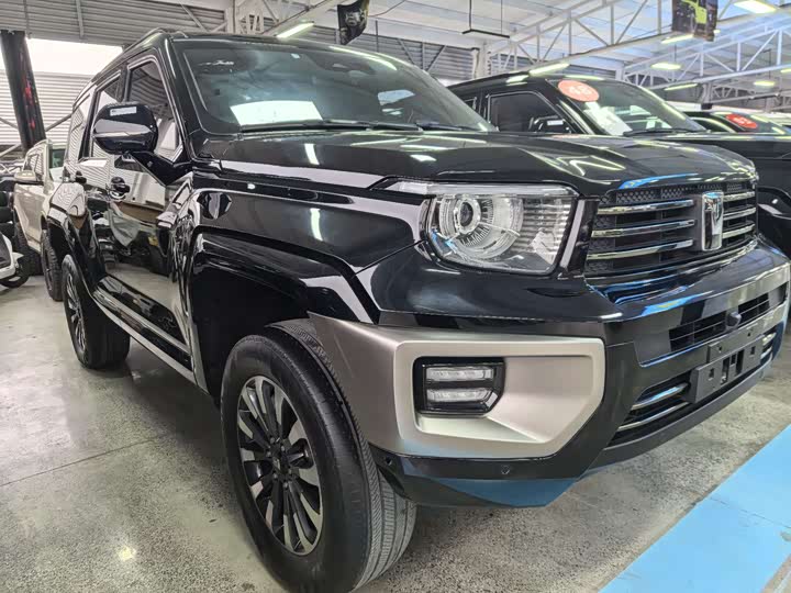 Фото 2 - Tank 700 Hybrid