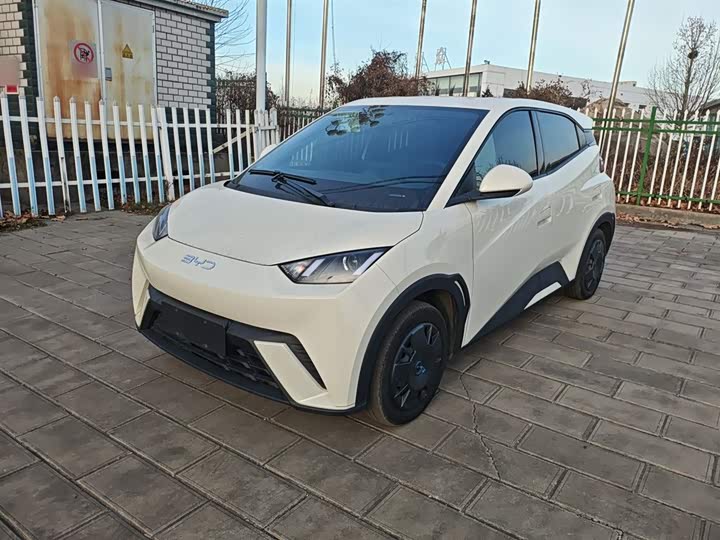 Фото 2 - BYD Seagull