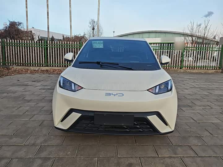 Фото 3 - BYD Seagull