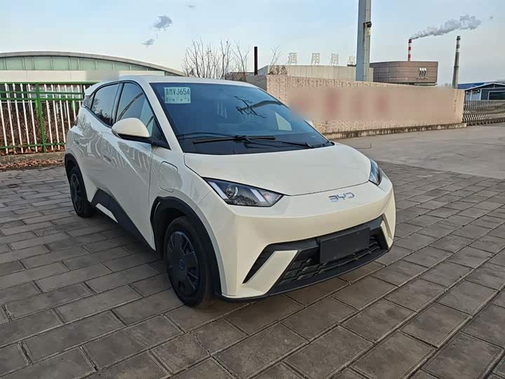 Фото 4 - BYD Seagull