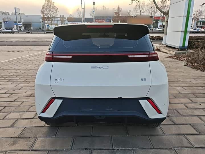 Фото 6 - BYD Seagull