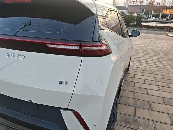 Фото 8 - BYD Seagull