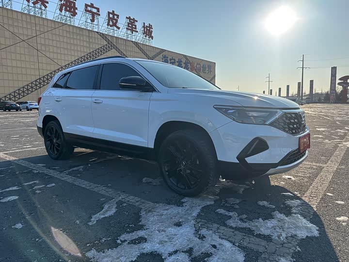 Фото 3 - Jetta VS7