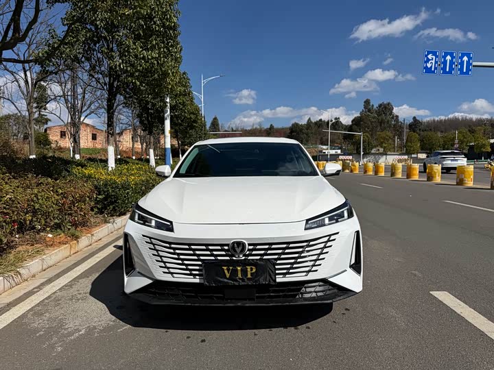 Фото 2 - Changan Eado Plus