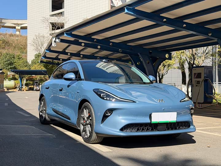 Фото 2 - IM motors LS6