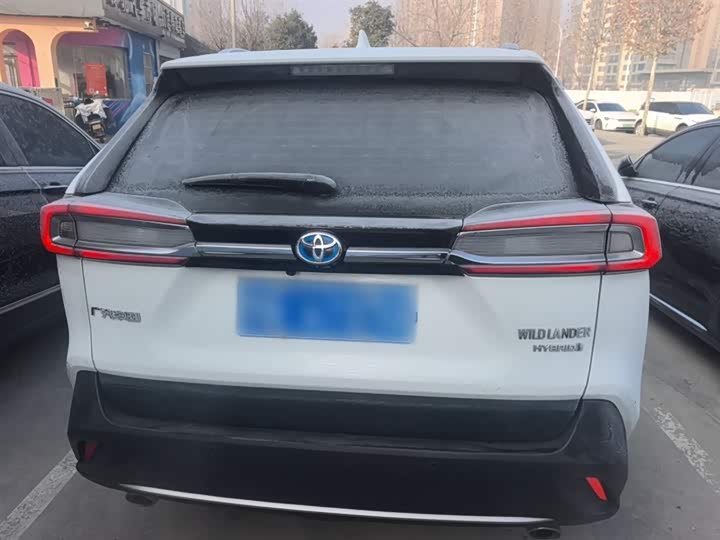 Фото 6 - Toyota Wildlander