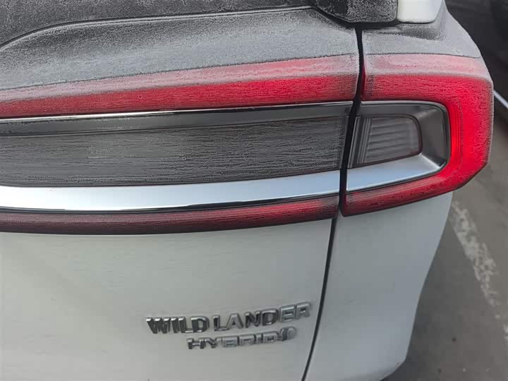 Фото 8 - Toyota Wildlander