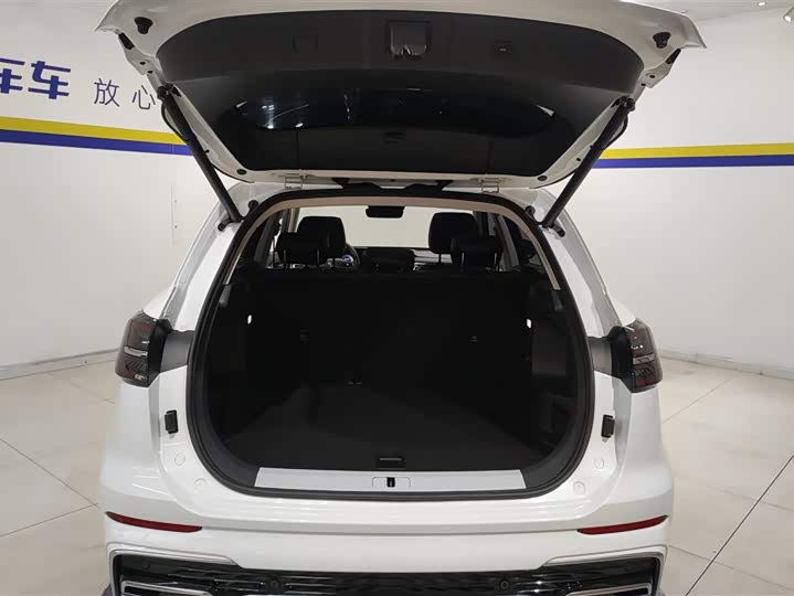 Фото 4 - Hongqi HS5