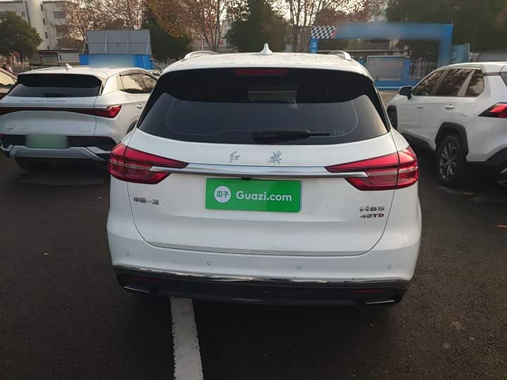 Фото 6 - Hongqi HS5