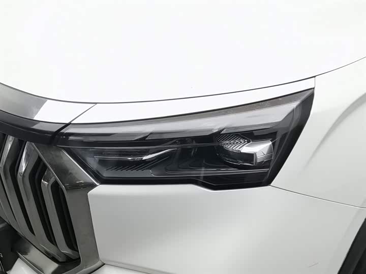 Фото 7 - Geely Okavango L