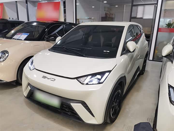 Фото 1 - BYD Seagull