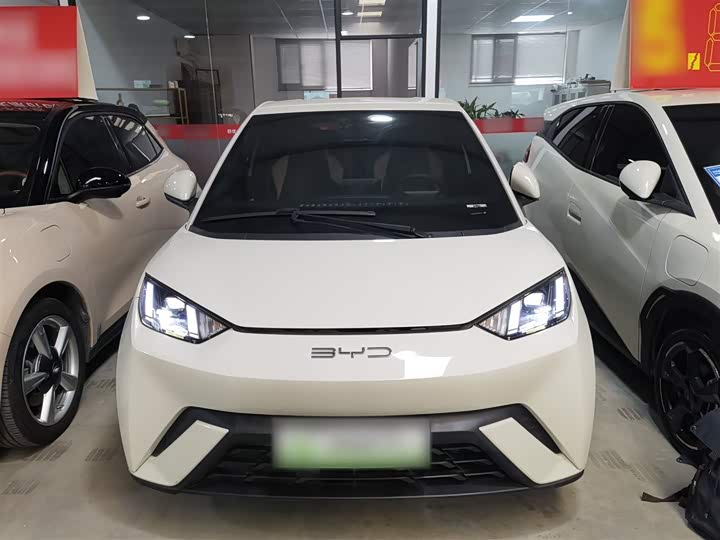 Фото 3 - BYD Seagull