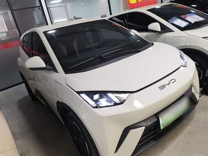 Фото 4 - BYD Seagull