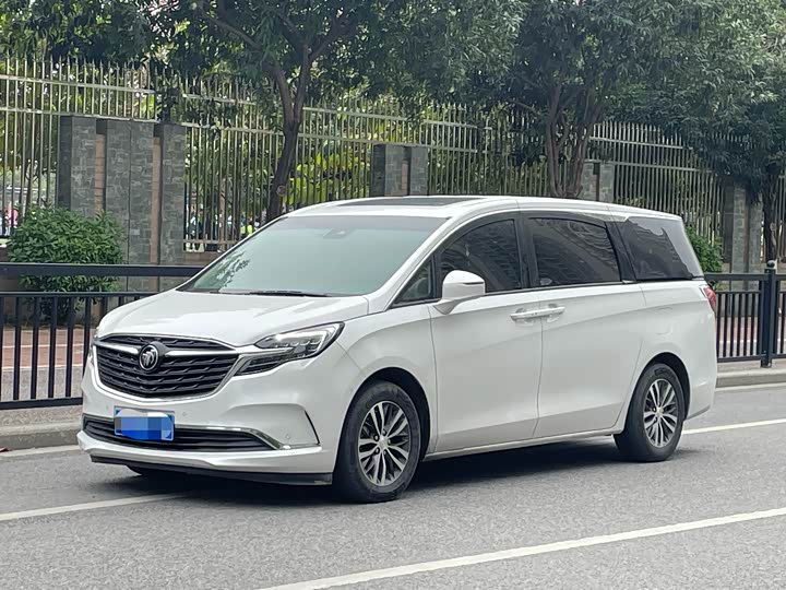 Фото 1 - Buick GL8 ES