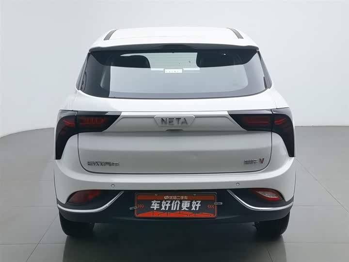 Фото 4 - Hozon V