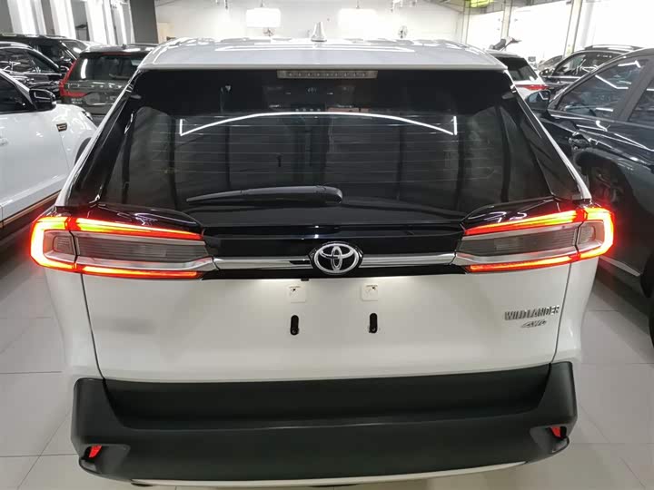 Фото 6 - Toyota Wildlander