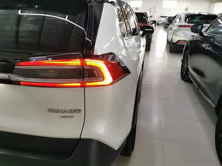 Фото 8 - Toyota Wildlander