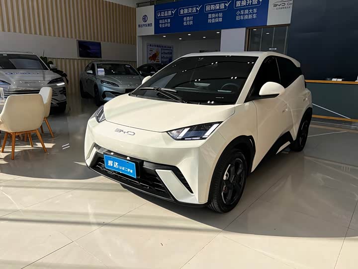 Фото 1 - BYD Seagull