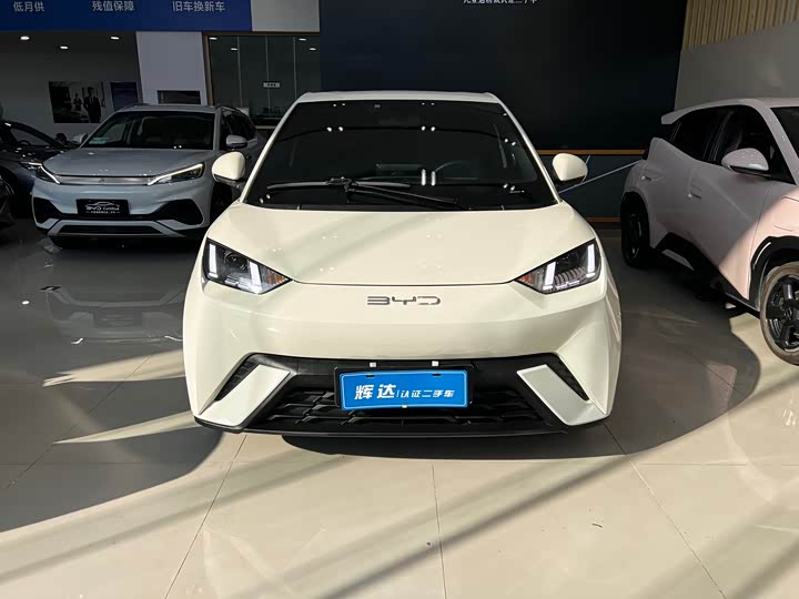 Фото 2 - BYD Seagull